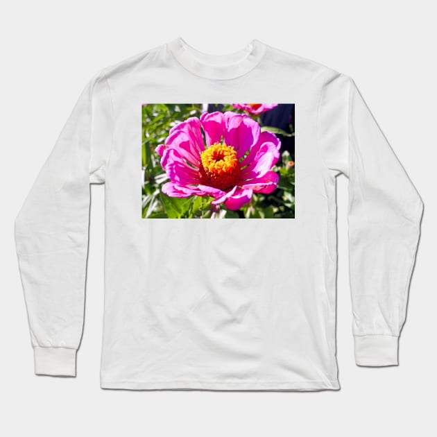 Zinnia Study 3 Long Sleeve T-Shirt by bobmeyers